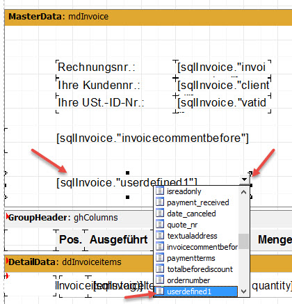 reportanpassung_masterdata_userdefined